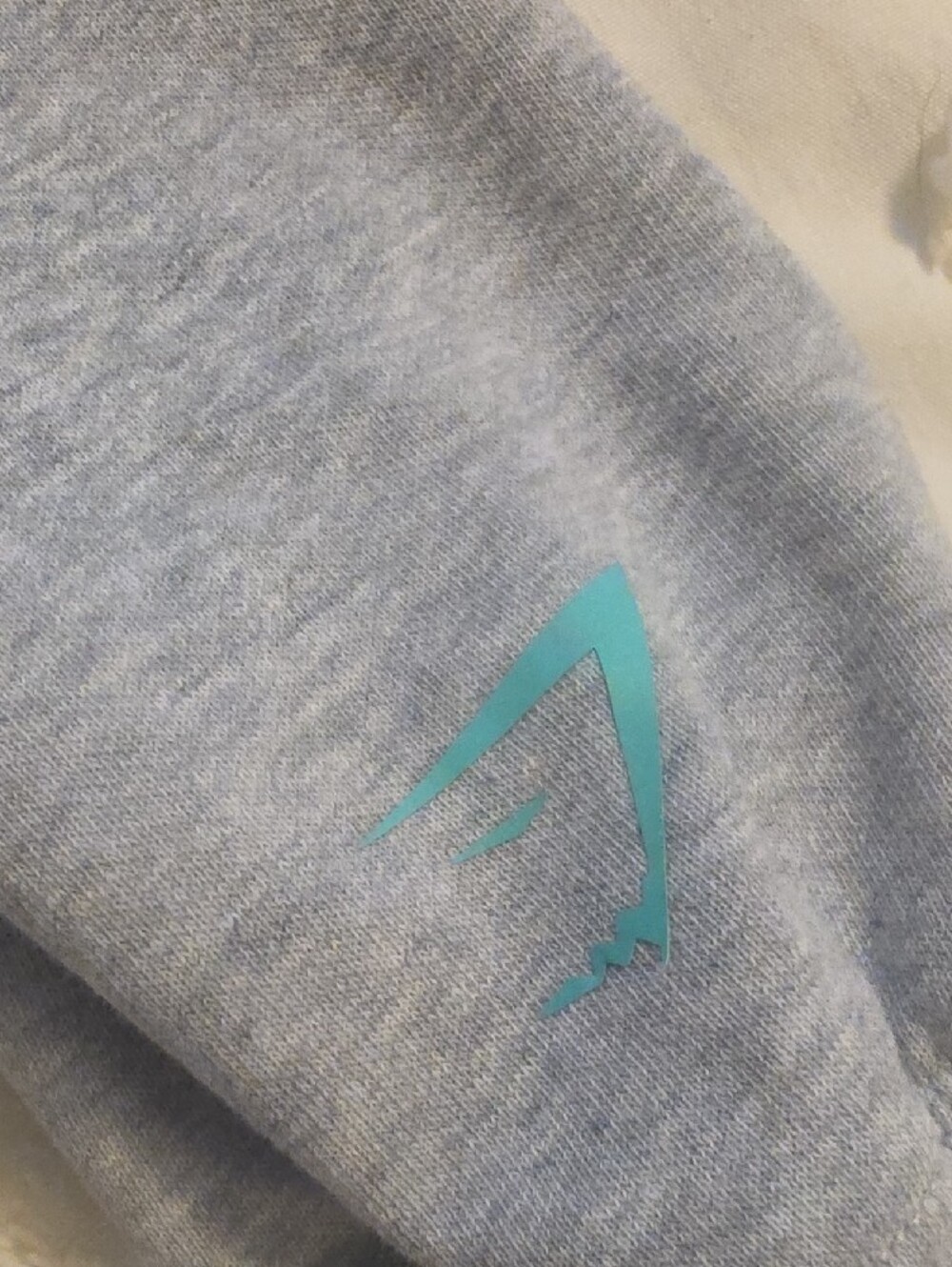 Gymshark Gray Hoodie with Teal Graphic - Picture 4 of 6